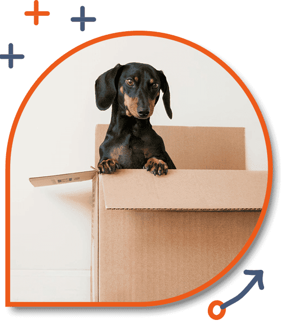 Berlin Translation Center: Umzug nach Deutschland